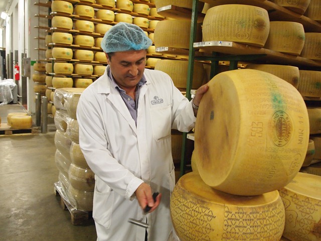Производство сыра в кооперативе