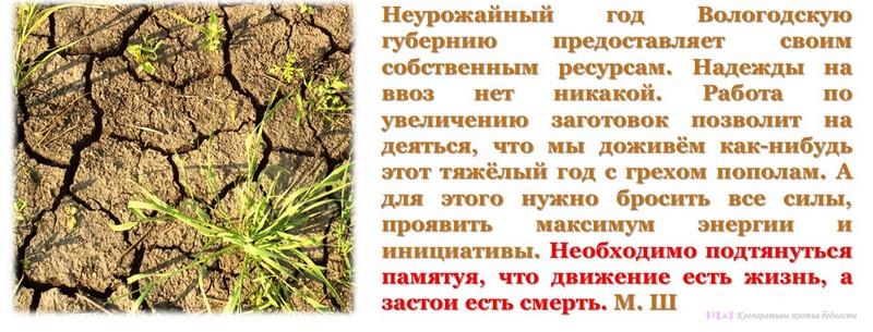 Неурожайный год предоставит Вологодской губернии