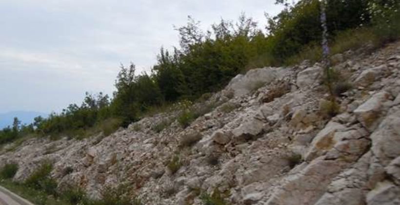 Потребительские кооперативы и кооперация против бедности