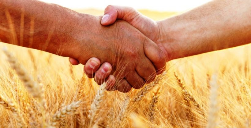 В Татарстане сельхозкооперативы в приоритете