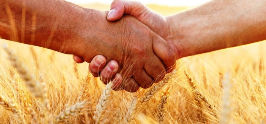 Развитие сельскохозяйственных кооперативов в Татарстане